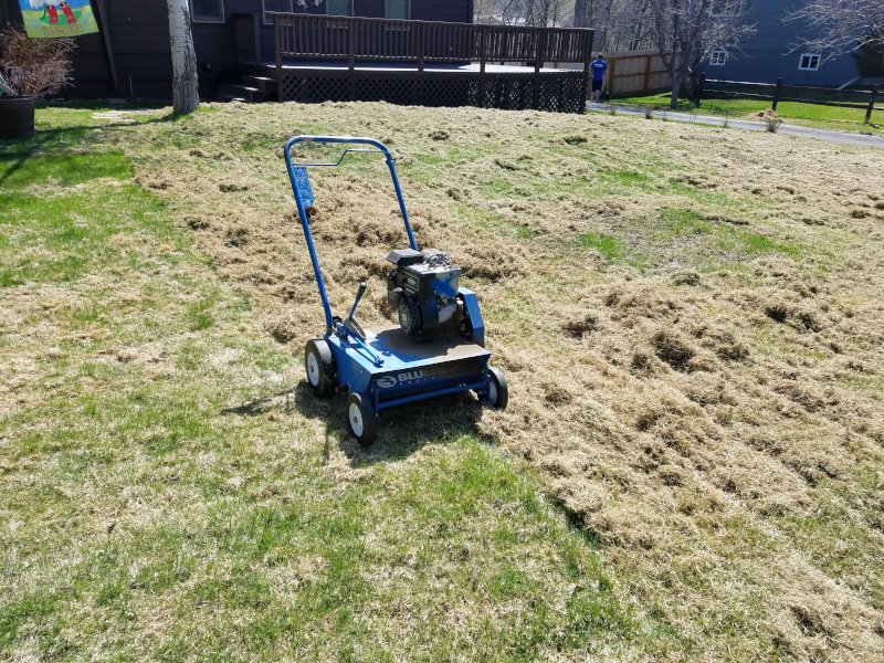 Lawn Power Raking - Lawn Dethatching Services